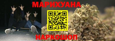 гидра Бердск