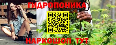 гидра Бердск