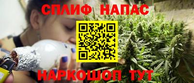 гидра Бердск