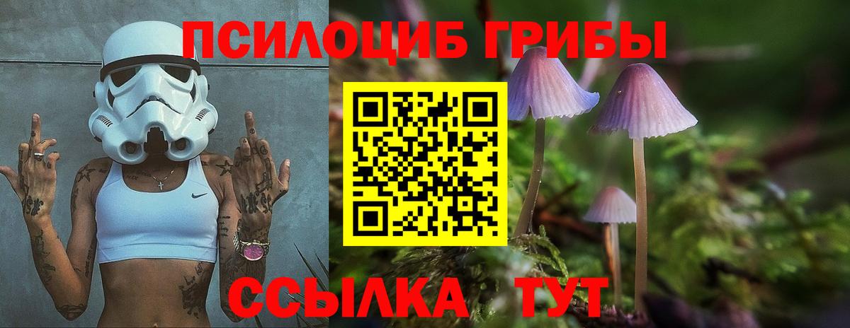 Галлюциногенные грибы прущие грибы  Галлюциногенные грибы мухоморы  Вход с VPN  цены   Изобильный 